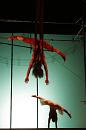 vertige du papillon 008 * 2336 x 3504 * (3.39MB)